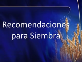 Recomendaciones
para Siembra

 