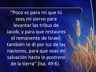“Poco es para mí que tú
seas mi siervo para
levantar las tribus de
Jacob, y para que restaures
el remanente de Israel;
también te di por luz de las
naciones, para que seas mi
salvación hasta lo postrero
de la tierra” (Isa. 49:6).

 
