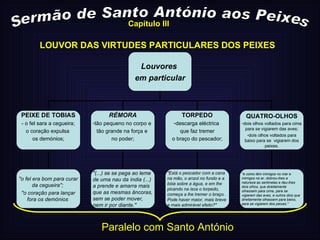 Sermão de Santo António aos Peixes LOUVOR DAS VIRTUDES PARTICULARES DOS PEIXES Paralelo com Santo António Capítulo III Louvores  em particular PEIXE DE TOBIAS - o fel sara a cegueira; o coração expulsa  os demónios; RÉMORA tão pequeno no corpo e  tão grande na força e  no poder; QUATRO-OLHOS dois olhos voltados para cima para se vigiarem das aves; dois olhos voltados para baixo para se  vigiarem dos peixes. TORPEDO descarga eléctrica  que faz tremer o braço do pescador; "o fel era bom para curar da cegueira";  "o coração para lançar fora os demónios  "(...) se se pega ao leme de uma nau da índia (...) a prende e amarra mais que as mesmas âncoras, sem se poder mover, nem ir por diante." "Está o pescador com a cana na mão, o anzol no fundo e a bóia sobre a água, e em lhe picando na isca o torpedo, começa a lhe tremer o braço. Pode haver maior, mais breve e mais admirável efeito?" "e como têm inimigos no mar e inimigos no ar, dobrou-lhes a natureza as sentinelas e deu-lhes dois olhos, que direitamente olhassem para cima, para se vigiarem das aves, e outros dois que direitamente olhassem para baixo, para se vigiarem dos peixes." 