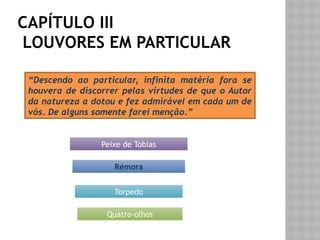 CAPÍTULO III
LOUVORES EM PARTICULAR
“Descendo ao particular, infinita matéria fora se
houvera de discorrer pelas virtudes de que o Autor
da natureza a dotou e fez admirável em cada um de
vós. De alguns somente farei menção.”
Peixe de Tobias
Rémora
Torpedo
Quatro-olhos
 