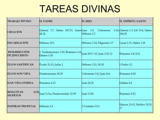 TAREAS DIVINAS
 