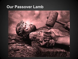 Our Passover Lamb
 