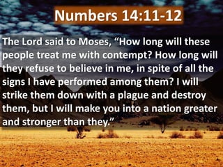 The Lord said to Moses, “How long will these
people treat me with contempt? How long will
they refuse to believe in me, in spite of all the
signs I have performed among them? I will
strike them down with a plague and destroy
them, but I will make you into a nation greater
and stronger than they.”
Numbers 14:11-12
 