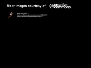 flickr images courtesy of:
Image credit: marian b.
http://www.ﬂickr.com/photos/marcinbrzezinski/3626256142
https://creativecommons.org/licenses/by-nc-sa/2.0/
 