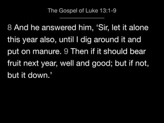 8 And he answered him, ‘Sir, let it alone
The Gospel of Luke 13:1-9
this year also, until I dig around it and
put on manure. 9 Then if it should bear
fruit next year, well and good; but if not,
but it down.’
 