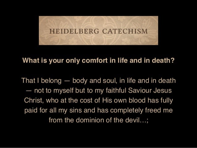 Sermon Slide Deck To Fear Or Not To Fear Luke 12 1 7
