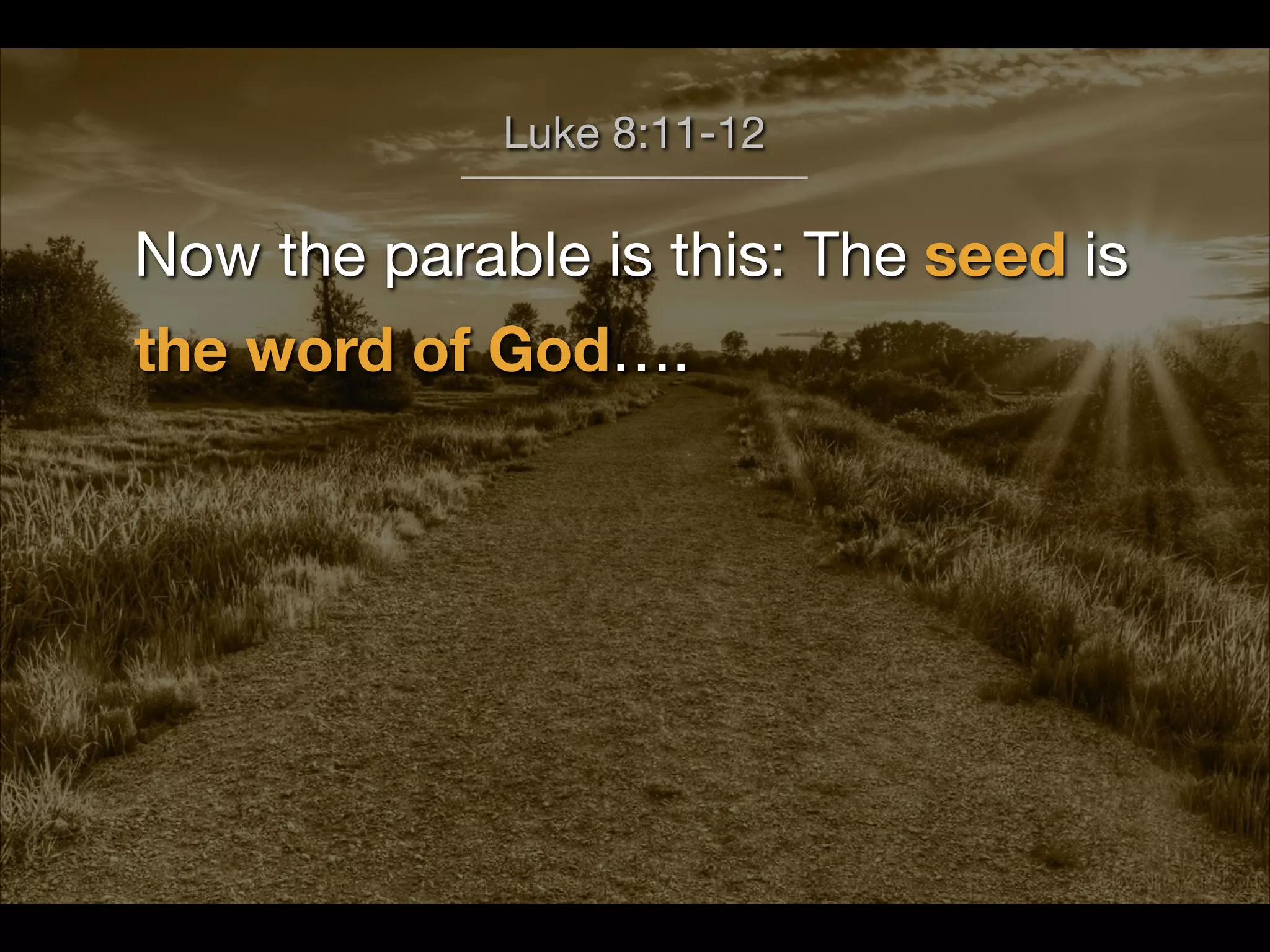 The Soil of Your Heart (Luke 8.1 15) | PDF