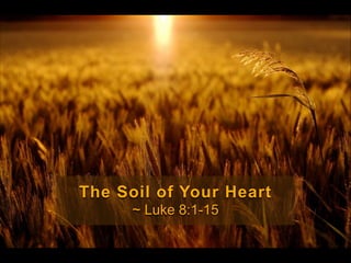 The Soil of Your Heart
~ Luke 8:1-15

 
