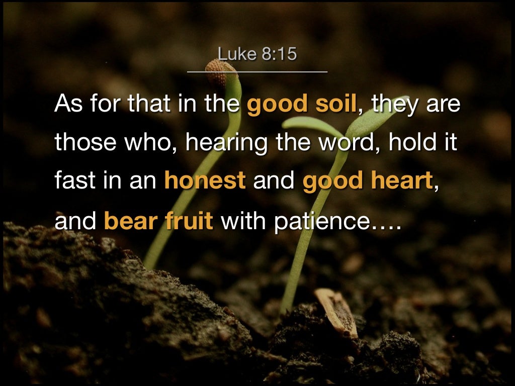 The Soil Of Your Heart Luke 8 1 15 the-soil-of-your-heart-luke-8-1-15
