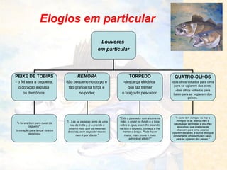 Elogios em particular 
Louvores 
em particular 
PEIXE DE TOBIAS 
- o fel sara a cegueira; 
o coração expulsa 
os demónios; 
RÉMORA 
-tão pequeno no corpo e 
tão grande na força e 
no poder; 
QUATRO-OLHOS 
-dois olhos voltados para cima para se vigiarem das aves; 
-dois olhos voltados para baixo para se vigiarem dos peixes. 
TORPEDO 
-descarga eléctrica 
que faz tremer 
o braço do pescador; 
"o fel era bom para curar da cegueira"; 
"o coração para lançar fora os demónios 
"(...) se se pega ao leme de uma nau da índia (...) a prende e amarra mais que as mesmas âncoras, sem se poder mover, nem ir por diante." 
"Está o pescador com a cana na mão, o anzol no fundo e a bóia sobre a água, e em lhe picando na isca o torpedo, começa a lhe tremer o braço. Pode haver maior, mais breve e mais admirável efeito?" 
"e como têm inimigos no mar e inimigos no ar, dobrou-lhes a natureza as sentinelas e deu-lhes dois olhos, que direitamente olhassem para cima, para se vigiarem das aves, e outros dois que direitamente olhassem para baixo, para se vigiarem dos peixes."  