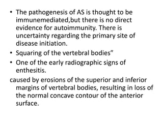 • The pathogenesis of AS is thought to be
immunemediated,but there is no direct
evidence for autoimmunity. There is
uncertainty regarding the primary site of
disease initiation.
• Squaring of the vertebral bodies”
• One of the early radiographic signs of
enthesitis.
caused by erosions of the superior and inferior
margins of vertebral bodies, resulting in loss of
the normal concave contour of the anterior
surface.
 