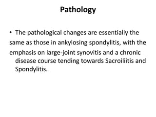 Pathology
• The pathological changes are essentially the
same as those in ankylosing spondylitis, with the
emphasis on large-joint synovitis and a chronic
disease course tending towards Sacroiliitis and
Spondylitis.
 