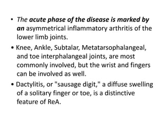 • The acute phase of the disease is marked by
an asymmetrical inflammatory arthritis of the
lower limb joints.
• Knee, Ankle, Subtalar, Metatarsophalangeal,
and toe interphalangeal joints, are most
commonly involved, but the wrist and fingers
can be involved as well.
• Dactylitis, or "sausage digit," a diffuse swelling
of a solitary finger or toe, is a distinctive
feature of ReA.
 