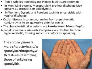 • Tendo Achilles tendinitis and Plantar fasciitis are common.
• In Men: Mild dysuria, Mucopurulent urethral discharge,May
present as prostatitis or epididymitis
• In Women : Dysuria and Purulent vaginitis or cervicitis with
vaginal discharge
• Ocular disease is common, ranging from asymptomatic
conjunctivitis to an aggressive anterior uveitis.
• The characteristic skin lesions, are keratoderma blenorrhagica.
A papulosquamous skin rash, Comprises vesicles that become
hyperkeratotic, forming and crusts before disappearing
The chronic phase is
more characteristic of a
spondyloarthropathy,wi
th features resembling
those of ankylosing
spondylitis.
 