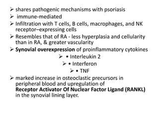  shares pathogenic mechanisms with psoriasis
 immune-mediated
 Infiltration with T cells, B cells, macrophages, and NK
receptor–expressing cells
 Resembles that of RA - less hyperplasia and cellularity
than in RA, & greater vascularity
 Synovial overexpression of proinflammatory cytokines
 • Interleukin 2
 • Interferon
 • TNF
 marked increase in osteoclastic precursors in
peripheral blood and upregulation of
Receptor Activator Of Nuclear Factor Ligand (RANKL)
in the synovial lining layer.
 