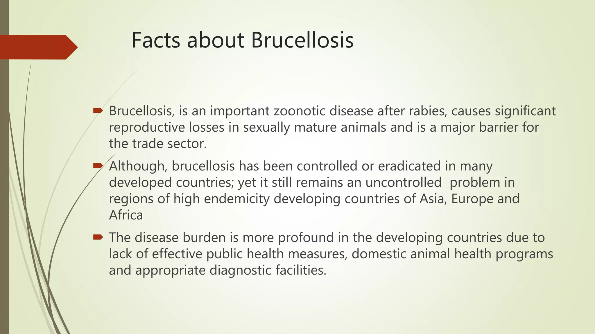Sero prevalence of Brucellosis in food animals | PPTX