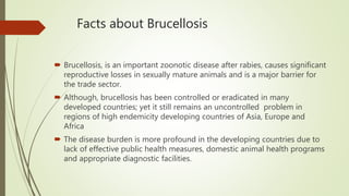 Sero prevalence of Brucellosis in food animals | PPTX