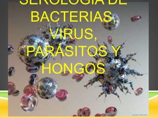SEROLOGÍA DE
BACTERIAS,
VIRUS,
PARÁSITOS Y
HONGOS
 