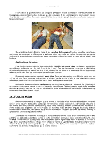 www.monografias.com
Para ver trabajos similares o recibir información semanal sobre nuevas publicaciones, visite www.monografias.com
Finalmente en lo que llamaríamos las categorías principales de esta clasificación están las manchas de
impregnación que son las manchas de sangre que de los cuerpos de las victimas pasan a plasmarse en objetos
circundantes como muebles, alfombras, ropa, colchones, tierra, etc. Un ejemplo de estas manchas se muestra en
la siguiente imagen:
Con una última división, Simonin habla de las manchas de limpieza refiriéndose con ello a manchas de
sangre que se encuentran en objetos que el victimario utilizo para quitar los rastros de sangre de su cuerpo,
vestimenta o armas utilizadas. Casi siempre estas manchas prevalecen en paños o trapos que se utilizan para
limpieza.
Clasificación de Herbertson
Para este investigador, primero se encuentran las manchas de sangre clase 1. Estas son las manchas
cuyo diámetro oscila entre los 1.5 y los 2.2 cms. (15 a 22 mm.). Este tipo de manchas indican que la velocidad de
un cuerpo al golpear con su soporte fue lenta lo que casi siempre por causa de la gravedad y cuando dicho cuerpo
golpea en superficies lisas que no son capaces de absorber impactos.
Después de estas manchas continúan las de clase 2 que son las manchas cuyo diámetro oscila entre los
3 y los 10 mm. Estas manchas implican que, el impacto que la produjo lo hizo a una velocidad moderada
habiéndose aplicando en dicho impacto una fuerza mayor a la fuerza de la gravedad.
Después de estas continúan las de clase 3 que son manchas de menos de 1 mm y que son consecuencia
de impactos con armas de fuego e incluso con elementos contundentes. Después de estas aparecen las manchas
de clase 4 que son manchas de charco o transparencia y que son el resultado de cualquier procedimiento de
limpieza hecho en la escena del crimen.
EL LUGAR DEL HECHO
Independientemente de la categoría que se asuma, la búsqueda de las manchas debe hacerse con sumo
cuidado sobre el cuerpo de la víctima y el cuerpo del victimario si este se ha capturado, sobre el piso del evento lo
que incluso debe incluir uniones de mosaicos y pisos, sobre paredes y muebles y sobre el arma incluida en el
evento si esta está disponible. Se deben registrar las manchas desde diferentes ángulos de visión y distintas
intensidades de iluminación, esto debido a que muchas manchas de sangre no son vistas de manera normal y la
aplicación de luminosidad puede revelarlas.
Además de ello no se debe olvidar que en cualquier hecho criminal existe lo que llamaremos una escena
primaria que es la escena donde se comete el hecho criminal pero en muchos casos también existen una o más
escenas secundarias las cuales puede estar relacionadas con un lugar desde donde se trasladó el cadáver, el
lugar donde se produjo el ataque, el lugar donde falleció la víctima, el lugar donde se descubrió cualquier indicio,
el vehículo desde donde se transportó el cuerpo y la ruta de huida. Cada una de estas escenas criminales debe de
examinarse con la misma meticulosidad que la escena principal.
 