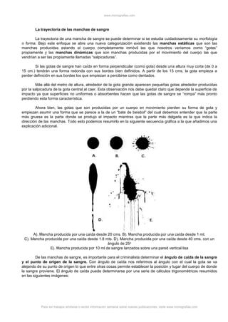 www.monografias.com
Para ver trabajos similares o recibir información semanal sobre nuevas publicaciones, visite www.monografias.com
La trayectoria de las manchas de sangre
La trayectoria de una mancha de sangre se puede determinar si se estudia cuidadosamente su morfología
o forma. Bajo este enfoque se abre una nueva categorización existiendo las manchas estáticas que son las
manchas producidas estando el cuerpo completamente inmóvil las que nosotros veríamos como “gotas”
propiamente y las manchas dinámicas que son manchas producidas por el movimiento del cuerpo las que
vendrían a ser las propiamente llamadas “salpicaduras”.
Si las gotas de sangre han caído en forma perpendicular (como gota) desde una altura muy corta (de 0 a
15 cm.) tendrán una forma redonda con sus bordes bien definidos. A partir de los 15 cms, la gota empieza a
perder definición en sus bordes los que empiezan a percibirse como dentados.
Más allá del metro de altura, alrededor de la gota grande aparecen pequeñas gotas alrededor producidas
por la salpicadura de la gota central al caer. Esta observación nos debe quedar claro que depende la superficie de
impacto ya que superficies no uniformes o absorbentes hacen que las gotas de sangre se “rompa” más pronto
perdiendo esta forma característica.
Ahora bien, las gotas que son producidas por un cuerpo en movimiento pierden su forma de gota y
empiezan asumir una forma que se parece a la de un “bate de beisbol” del cual debemos entender que la parte
más gruesa es la parte donde se produjo el impacto mientras que la parte más delgada es la que indica la
dirección de las manchas. Todo esto podemos resumirlo en la siguiente secuencia gráfica a la que añadimos una
explicación adicional.
A). Mancha producida por una caída desde 20 cms. B). Mancha producida por una caída desde 1 mt.
C). Mancha producida por una caída desde 1.8 mts. D). Mancha producida por una caída desde 40 cms. con un
ángulo de 25o
E). Mancha producida por 10 ml de sangre lanzados sobre una pared vertical lisa
De las manchas de sangre, es importante para el criminalista determinar el ángulo de caída de la sangre
y el punto de origen de la sangre. Con ángulo de caída nos referimos al ángulo con el cual la gota se va
alejando de su punto de origen lo que entre otras cosas permite establecer la posición y lugar del cuerpo de donde
la sangre proviene. El ángulo de caída puede determinarse por una serie de cálculos trigonométricos resumidos
en las siguientes imágenes:
 