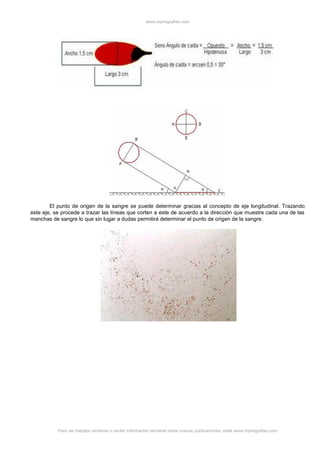 www.monografias.com
Para ver trabajos similares o recibir información semanal sobre nuevas publicaciones, visite www.monografias.com
El punto de origen de la sangre se puede determinar gracias al concepto de eje longitudinal. Trazando
este eje, se procede a trazar las líneas que corten a este de acuerdo a la dirección que muestre cada una de las
manchas de sangre lo que sin lugar a dudas permitirá determinar el punto de origen de la sangre.
 