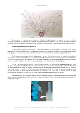 www.monografias.com
Para ver trabajos similares o recibir información semanal sobre nuevas publicaciones, visite www.monografias.com
La conjunción de las dos determinaciones descritas (ángulo y punto de origen) permiten concluir la
situación aproximada de la fuente del sangrado. Esto será de gran importancia a la hora de descartar hipótesis o
confirmar testimonios, así como también, brinda información para proceder a la búsqueda de nuevas evidencias.
El estudio de las manchas hemáticas
Aun cuando en nuestras notas vamos a hablar más adelante del levantamiento y embalaje de los indicios
biológicos en una escena de crimen, vamos a centrarnos es este espacio para hablar de lo anterior concerniente a
la sangre para de esta manera, poder concluir con el tema de la hematología dentro de la práctica forense.
De la sangre diríamos que el criminalista puede a primera vista el determinar si las manchas que observa
en la escena son manchas de sangre pero, en la mayoría de los casos, las manchas se confunden en coloración
con otros actores biológicos de la escena de crimen por lo que tal vez el primer cuestionamiento que el criminalista
es si las manchas que tiene ante él son manchas de sangre o de otros componentes biológicos.
Previo a la recolección, en cuanto a las manchas de sangre se debe utilizar agua destilada para poder
agregar a la mancha con el fin de volver a reactivar algunos de sus elementos biológicos que se han deshidratado.
Se deben agregar dos gotas de agua a cada mancha de sangre para posteriormente recoger con un hisopo o
cotonete la mancha y meterla en un tubo de cristal o plástico esterilizado para poder transportar la sangre en caso
de que esta vaya a estar dirigida al laboratorio de patología. Los tubos que se utilicen deben de estar
correctamente etiquetados y contar con las anotaciones necesarias para determinar su origen.
En otra vertiente se acostumbra agregar el agua destilada primero al cotonete para evitar en la recolección
que la mancha y las paredes del tubo contenedor entren en contacto. Esta vertiente de recolección se muestra en
la siguiente imagen:
 