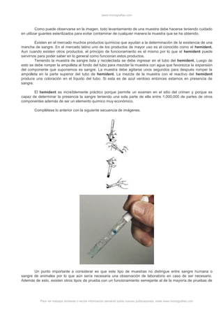 www.monografias.com
Para ver trabajos similares o recibir información semanal sobre nuevas publicaciones, visite www.monografias.com
Como puede observarse en la imagen, todo levantamiento de una muestra debe hacerse teniendo cuidado
en utilizar guantes esterilizados para evitar contaminar de cualquier manera la muestra que se ha obtenido.
Existen en el mercado muchos productos químicos que ayudan a la determinación de la existencia de una
mancha de sangre. En el mercado latino uno de los productos de mayor uso es el conocido como el hemident.
Aun cuando existen otros productos, el principio de funcionamiento es el mismo por lo que el hemident puede
servirnos para poder saber en lo general como funcionan estos productos.
Teniendo la muestra de sangre lista y recolectada se debe ingresar en el tubo del hemident. Luego de
esto se debe romper la ampolleta al fondo del tubo para mezclar la muestra con agua que favorezca la expansión
del componente que suponemos es sangre. La muestra debe agitarse unos segundos para después romper la
ampolleta en la parte superior del tubo de hemident. La mezcla de la muestra con el reactivo del hemident
produce una coloración en el líquido del tubo. Si esta es de azul verdoso entonces estamos en presencia de
sangre.
El hemident es increíblemente práctico porque permite un examen en el sitio del crimen y porque es
capaz de determinar la presencia la sangre teniendo una sola parte de ella entre 1,000,000 de partes de otros
componentes además de ser un elemento químico muy económico.
Complétese lo anterior con la siguiente secuencia de imágenes.
Un punto importante a considerar es que este tipo de muestras no distingue entre sangre humana o
sangre de animales por lo que aún sería necesaria una observación de laboratorio en caso de ser necesario.
Además de esto, existen otros tipos de prueba con un funcionamiento semejante al de la mayoría de pruebas de
 