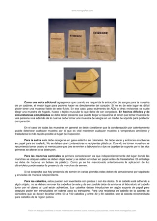 www.monografias.com
Para ver trabajos similares o recibir información semanal sobre nuevas publicaciones, visite www.monografias.com
Como una nota adicional agregamos que cuando es requerida la extracción de sangre para la muestra
de un cadáver, el mejor lugar para poderlo hacer es directamente del corazón. Si no es de este lugar es difícil
poder tener una muestra fiable de este fluido. En ese caso, para exámenes de ADN u otras revisiones se suele
elegir una muestra de hígado, hueso o tejido muscular lo que debe de ser congelado. En hechos difíciles y de
circunstancias complicadas se debe tener presente que puede llegar a requerirse el tener que tomar muestra de
una persona viva además de lo cual se debe tomar una muestra de sangre en un medio de soporte para posterior
comparación.
En el caso de todas las muestras en general se debe considerar que la condensación por calentamiento
puede deteriorar cualquier muestra por lo que es vital mantener cualquier muestra a temperatura ambiente y
trasladarse lo más rápido posible al lugar de inspección.
Para la saliva esta debe recogerse en gasa estéril o en cotonetes. Se debe secar y entonces envolverse
en papel para su traslado. No se deben usar contenedores o recipientes plásticos. Cuando se tomen muestras se
recomienda tomar cuatro al menos para que dos se envíen a laboratorio y dos se queden de soporte por si las dos
primeras se alteran o se destruyen.
Para las manchas seminales la primera consideración es que independientemente del lugar donde las
manchas se ubiquen estas se deben dejar secar y se deben envolver en papel antes de trasladarlas. El embalaje
no debe de hacerse en bolsas de plástico. Como ya se ha mencionado anteriormente la aplicación de luz
ultravioleta puede revelar la presencia de manchas de semen.
Si se sospecha que hay presencia de semen en varias prendas estas deben de almacenarse por separado
y enviadas de manera independiente.
Para los cabellos, estos pueden ser levantados con pinzas o con los dedos. Si el cabello está adherido a
algún objeto, no se deben remover los cabellos de este y de ser posible debe de enviarse al laboratorio el cabello
junto con el objeto al cual están adheridos. Los cabellos deben introducirse en algún soporte de papel para
después poder ser introducidos en sobres para su transporte. Para una recolecta de cabello de la cabeza se
considera que se deben levantar entre 50 a 100 cabellos y entre 30 y 60 cabellos son la colecta recomendada
para cabellos de la región púbica.
 