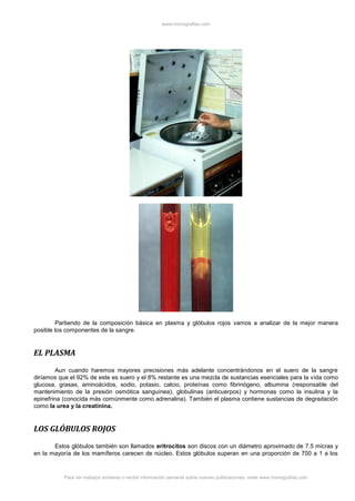 www.monografias.com
Para ver trabajos similares o recibir información semanal sobre nuevas publicaciones, visite www.monografias.com
Partiendo de la composición básica en plasma y glóbulos rojos vamos a analizar de la mejor manera
posible los componentes de la sangre.
EL PLASMA
Aun cuando haremos mayores precisiones más adelante concentrándonos en el suero de la sangre
diríamos que el 92% de este es suero y el 8% restante es una mezcla de sustancias esenciales para la vida como
glucosa, grasas, aminoácidos, sodio, potasio, calcio, proteínas como fibrinógeno, albumina (responsable del
mantenimiento de la presión osmótica sanguínea), globulinas (anticuerpos) y hormonas como la insulina y la
epinefrina (conocida más comúnmente como adrenalina). También el plasma contiene sustancias de degradación
como la urea y la creatinina.
LOS GLÓBULOS ROJOS
Estos glóbulos también son llamados eritrocitos son discos con un diámetro aproximado de 7.5 micras y
en la mayoría de los mamíferos carecen de núcleo. Estos glóbulos superan en una proporción de 700 a 1 a los
 