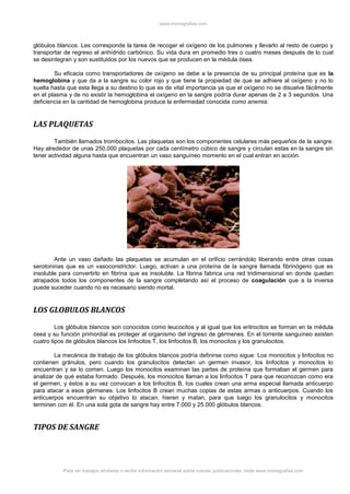 www.monografias.com
Para ver trabajos similares o recibir información semanal sobre nuevas publicaciones, visite www.monografias.com
glóbulos blancos. Les corresponde la tarea de recoger el oxígeno de los pulmones y llevarlo al resto de cuerpo y
transportar de regreso el anhídrido carbónico. Su vida dura en promedio tres o cuatro meses después de lo cual
se desintegran y son sustituidos por los nuevos que se producen en la médula ósea.
Su eficacia como transportadores de oxígeno se debe a la presencia de su principal proteína que es la
hemoglobina y que da a la sangre su color rojo y que tiene la propiedad de que se adhiere al oxígeno y no lo
suelta hasta que esta llega a su destino lo que es de vital importancia ya que el oxígeno no se disuelve fácilmente
en el plasma y de no existir la hemoglobina el oxígeno en la sangre podría durar apenas de 2 a 3 segundos. Una
deficiencia en la cantidad de hemoglobina produce la enfermedad conocida como anemia.
LAS PLAQUETAS
También llamados trombocitos. Las plaquetas son los componentes celulares más pequeños de la sangre.
Hay alrededor de unas 250,000 plaquetas por cada centímetro cúbico de sangre y circulan estas en la sangre sin
tener actividad alguna hasta que encuentran un vaso sanguíneo momento en el cual entran en acción.
Ante un vaso dañado las plaquetas se acumulan en el orificio cerrándolo liberando entre otras cosas
serotoninas que es un vasoconstrictor. Luego, activan a una proteína de la sangre llamada fibrinógeno que es
insoluble para convertirlo en fibrina que es insoluble. La fibrina fabrica una red tridimensional en donde quedan
atrapados todos los componentes de la sangre completando así el proceso de coagulación que a la inversa
puede suceder cuando no es necesario siendo mortal.
LOS GLOBULOS BLANCOS
Los glóbulos blancos son conocidos como leucocitos y al igual que los eritrocitos se forman en la médula
ósea y su función primordial es proteger al organismo del ingreso de gérmenes. En el torrente sanguíneo existen
cuatro tipos de glóbulos blancos los linfocitos T, los linfocitos B, los monocitos y los granulocitos.
La mecánica de trabajo de los glóbulos blancos podría definirse como sigue: Los monocitos y linfocitos no
contienen gránulos, pero cuando los granulocitos detectan un germen invasor, los linfocitos y monocitos lo
encuentran y se lo comen. Luego los monocitos examinan las partes de proteína que formaban el germen para
analizar de qué estaba formado. Después, los monocitos llaman a los linfocitos T para que reconozcan como era
el germen, y éstos a su vez convocan a los linfocitos B, los cuales crean una arma especial llamada anticuerpo
para atacar a esos gérmenes. Los linfocitos B crean muchas copias de estas armas o anticuerpos. Cuando los
anticuerpos encuentran su objetivo lo atacan, hieren y matan, para que luego los granulocitos y monocitos
terminen con él. En una sola gota de sangre hay entre 7.000 y 25.000 glóbulos blancos.
TIPOS DE SANGRE
 