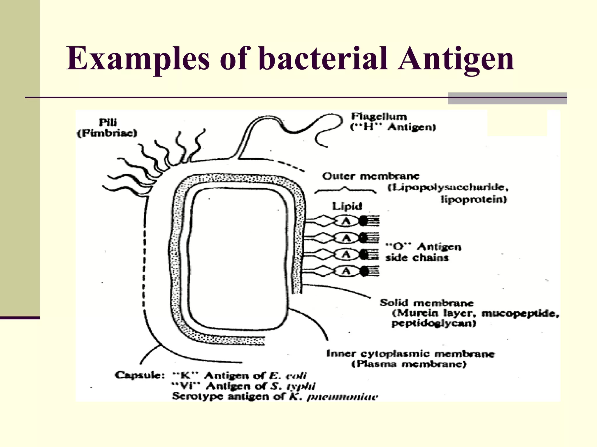 Serological assays | PPT