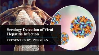 Serology Detection of Viral
Hepatitis Infection
PRESENTED BY: ZEESHAN
 