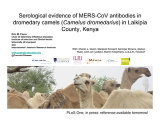 Serological evidence of MERS-CoV antibodies in
dromedary camels (Camelus dromedarius) in Laikipia
County, Kenya
With: Sharon L. Deem, Margaret Kinnaird, Springer Browne, Dishon
Muloi, Gert-Jan Godeke, Marion Koopmans, C.B.E.M. Reusken
Eric M. Fèvre
Chair of Veterinary Infectious Diseases
Institute of Infection and Global Health
University of Liverpool
and
International Livestock Research Institute
www.zoonotic-diseases.org
@ZoonoticDisease
PLoS One, in press: reference available tomorrow!
 