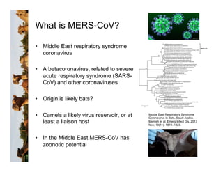 Serological evidence of MERS-CoV antibodies in dromedary camels (Camelus dromedarius) in Laikipia County, Kenya