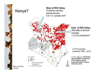 Serological evidence of MERS-CoV antibodies in dromedary camels (Camelus dromedarius) in Laikipia County, Kenya