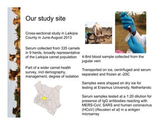 Serological evidence of MERS-CoV antibodies in dromedary camels (Camelus dromedarius) in Laikipia County, Kenya