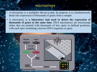 Serological methods.pptx