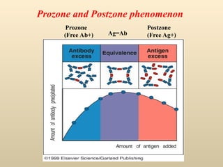 Postzone serological reactions skd TATA ACTREC .ppt