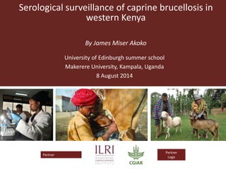 Serological surveillance of caprine brucellosis in
western Kenya
By James Miser Akoko
University of Edinburgh summer school
Makerere University, Kampala, Uganda
8 August 2014
 