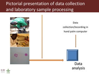 Serological surveillance of caprine brucellosis in western Kenya