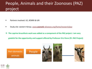Serological surveillance of caprine brucellosis in western Kenya