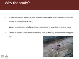 Serological surveillance of caprine brucellosis in western Kenya