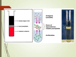 serological techniques for detection of plant virus.pptx