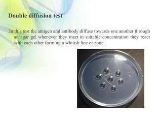 serological techniques for detection of plant virus.pptx
