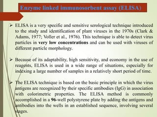 serological techniques for detection of plant virus.pptx