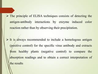 serological techniques for detection of plant virus.pptx