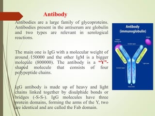 serological techniques for detection of plant virus.pptx