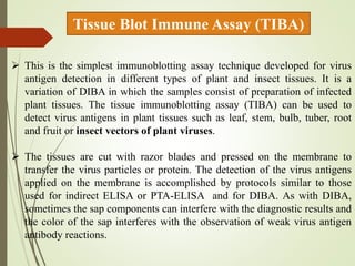 serological techniques for detection of plant virus.pptx