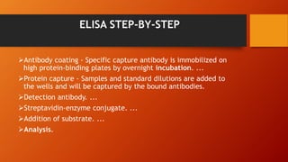 ELISA STEP-BY-STEP
Antibody coating - Specific capture antibody is immobilized on
high protein-binding plates by overnight incubation. ...
Protein capture - Samples and standard dilutions are added to
the wells and will be captured by the bound antibodies.
Detection antibody. ...
Streptavidin-enzyme conjugate. ...
Addition of substrate. ...
Analysis.
 