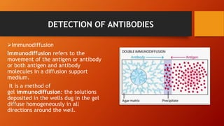 DETECTION OF ANTIBODIES
Immunodiffusion
Immunodiffusion refers to the
movement of the antigen or antibody
or both antigen and antibody
molecules in a diffusion support
medium.
It is a method of
gel immunodiffusion: the solutions
deposited in the wells dug in the gel
diffuse homogeneously in all
directions around the well.
 